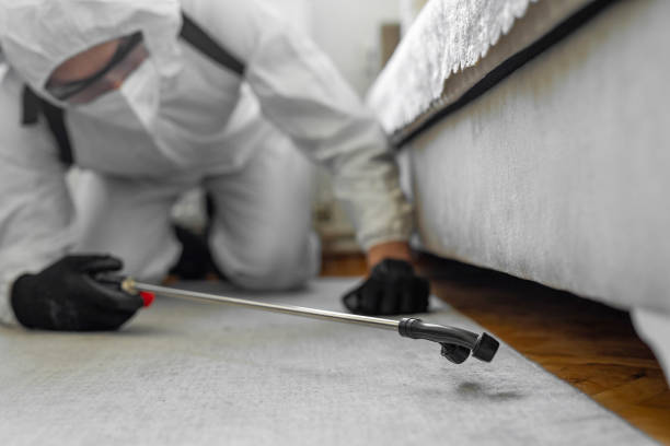 Professional Pest Control technician working in Morton, MS
