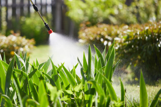 24/7 Emergency Pest Control experts in Morton, MS