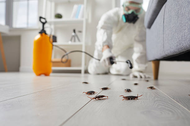 Affordable Pest Control solutions in Morton, MS
